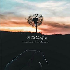 Meet your Posher, Mady